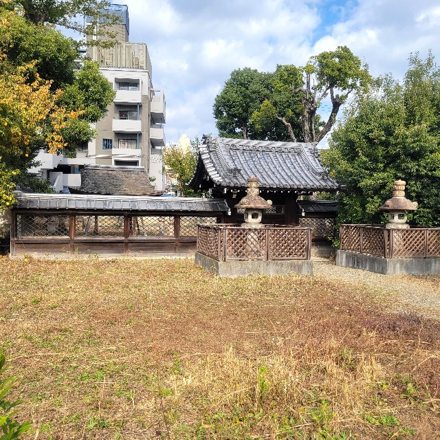 f:id:atoriatoriatori:20231206095359j:image