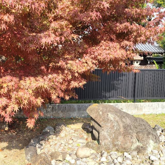 f:id:atoriatoriatori:20231206095428j:image