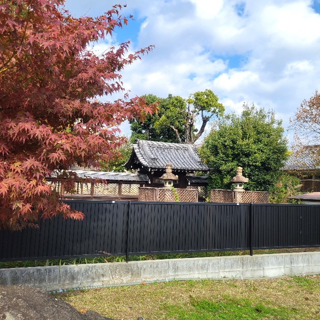 f:id:atoriatoriatori:20231206103122j:image