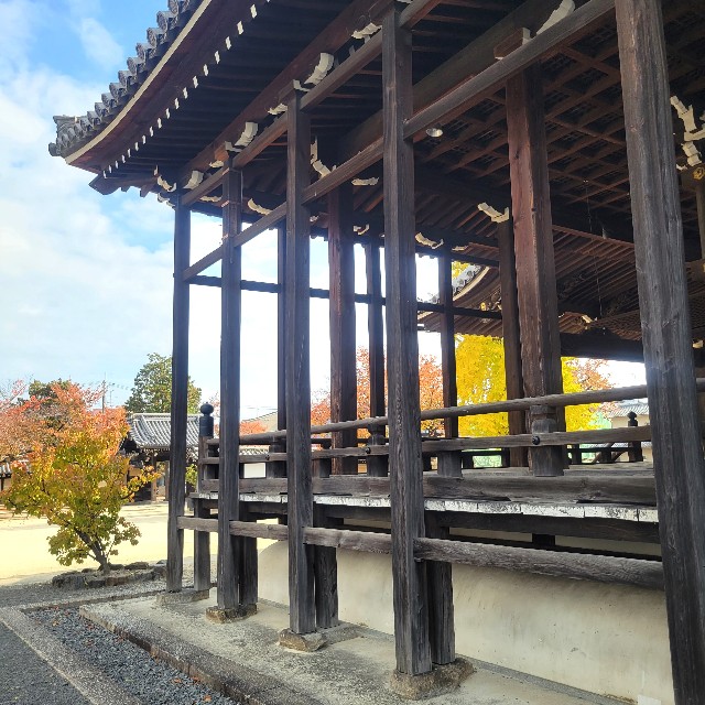 f:id:atoriatoriatori:20231206103141j:image