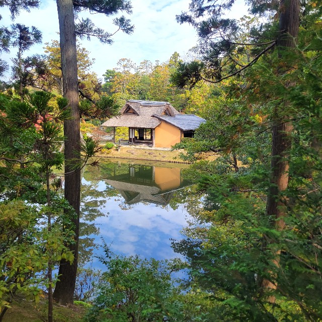 f:id:atoriatoriatori:20231209215643j:image f:id:atoriatoriatori:20231209215643j:image