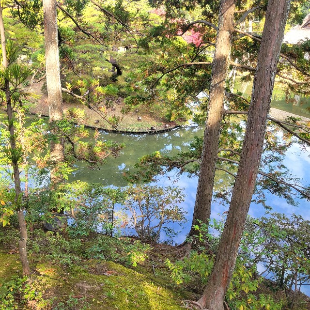 f:id:atoriatoriatori:20231211085609j:image f:id:atoriatoriatori:20231211085609j:image