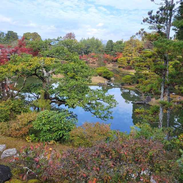 f:id:atoriatoriatori:20231211090418j:image f:id:atoriatoriatori:20231211090418j:image