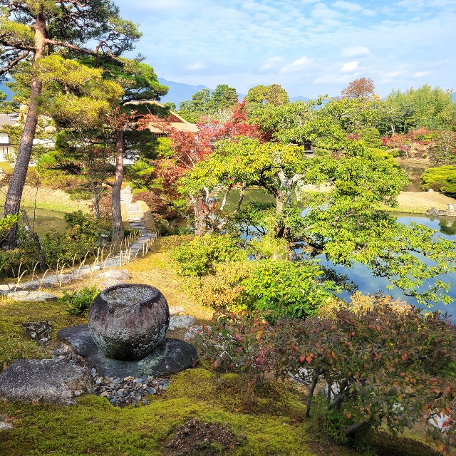 f:id:atoriatoriatori:20231211090435j:image f:id:atoriatoriatori:20231211090435j:image