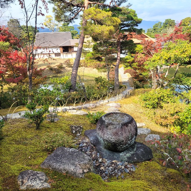 f:id:atoriatoriatori:20231211090450j:image f:id:atoriatoriatori:20231211090450j:image