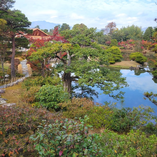 f:id:atoriatoriatori:20231211090805j:image f:id:atoriatoriatori:20231211090805j:image