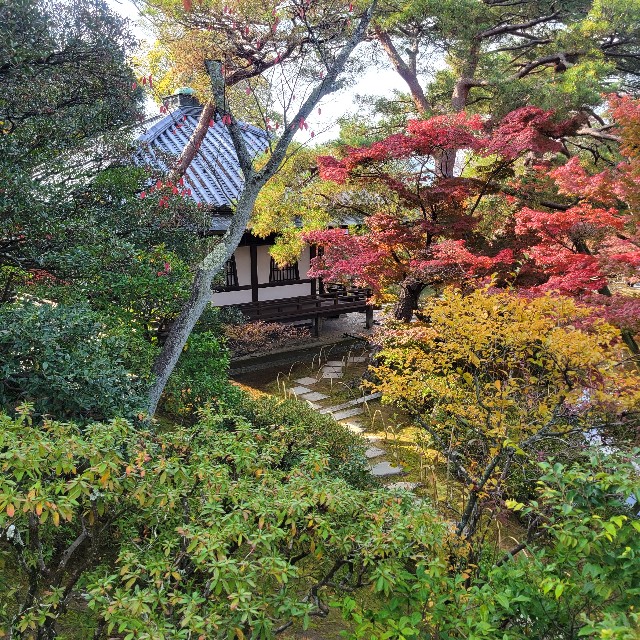 f:id:atoriatoriatori:20231211093059j:image f:id:atoriatoriatori:20231211093059j:image