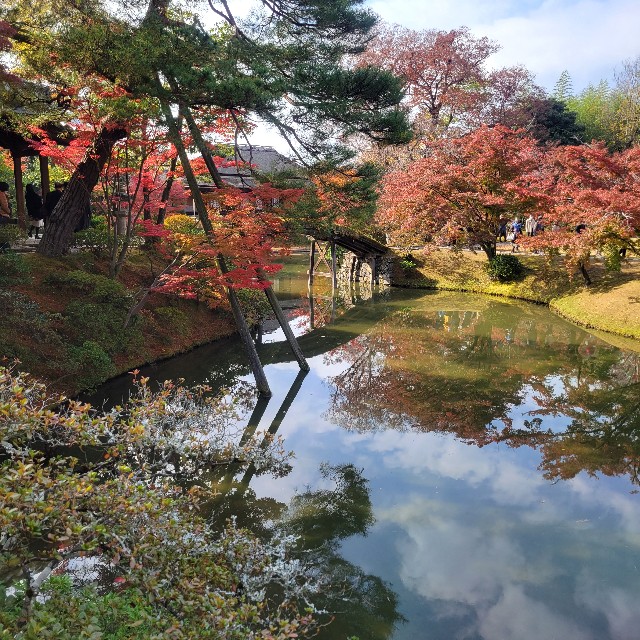 f:id:atoriatoriatori:20231211095557j:image f:id:atoriatoriatori:20231211095557j:image