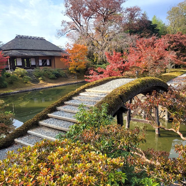 f:id:atoriatoriatori:20231211100757j:image f:id:atoriatoriatori:20231211100757j:image