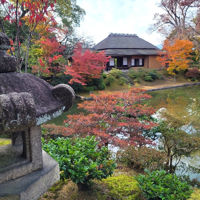 f:id:atoriatoriatori:20231211100805j:image f:id:atoriatoriatori:20231211100805j:image