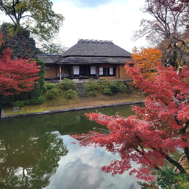 f:id:atoriatoriatori:20231211101016j:image f:id:atoriatoriatori:20231211101016j:image