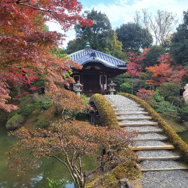 f:id:atoriatoriatori:20231211101047j:image f:id:atoriatoriatori:20231211101047j:image