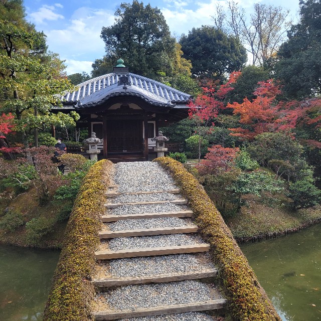 f:id:atoriatoriatori:20231211101053j:image f:id:atoriatoriatori:20231211101053j:image