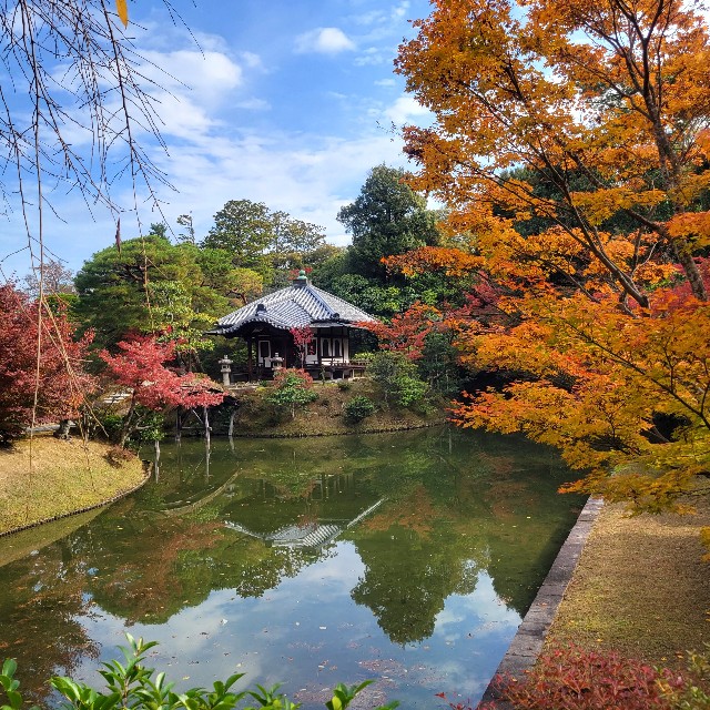 f:id:atoriatoriatori:20231211105103j:image f:id:atoriatoriatori:20231211105103j:image