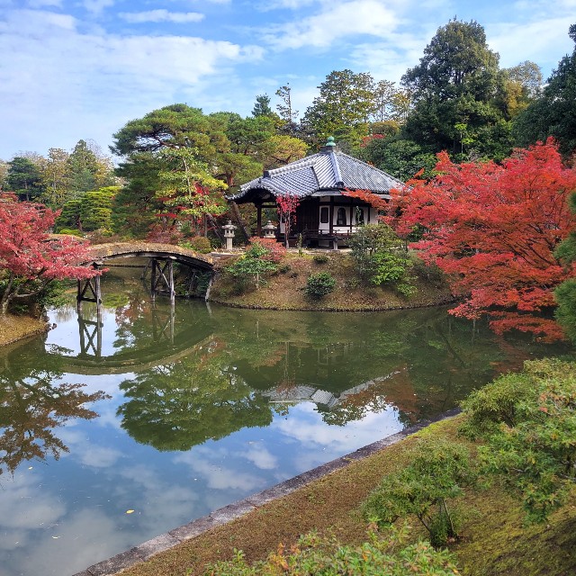 f:id:atoriatoriatori:20231211105112j:image f:id:atoriatoriatori:20231211105112j:image