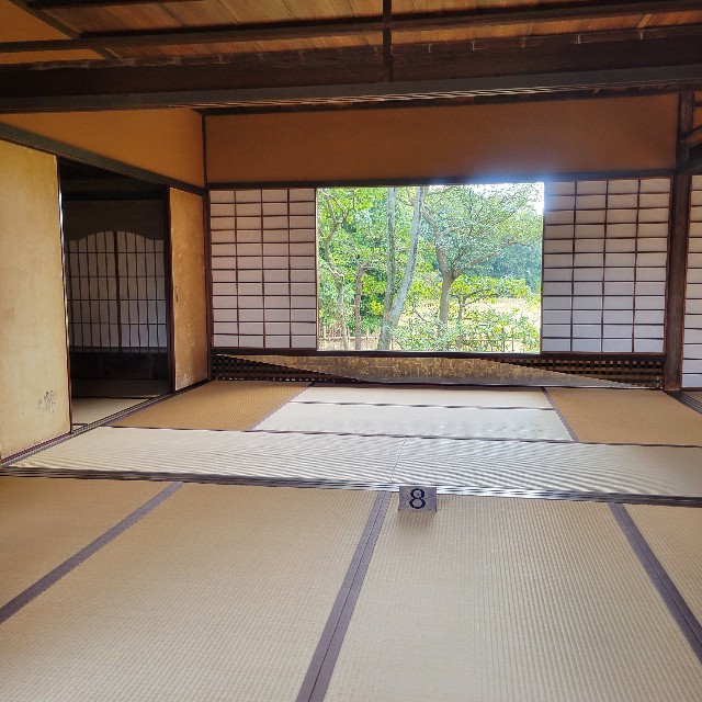 f:id:atoriatoriatori:20231211105903j:image f:id:atoriatoriatori:20231211105903j:image