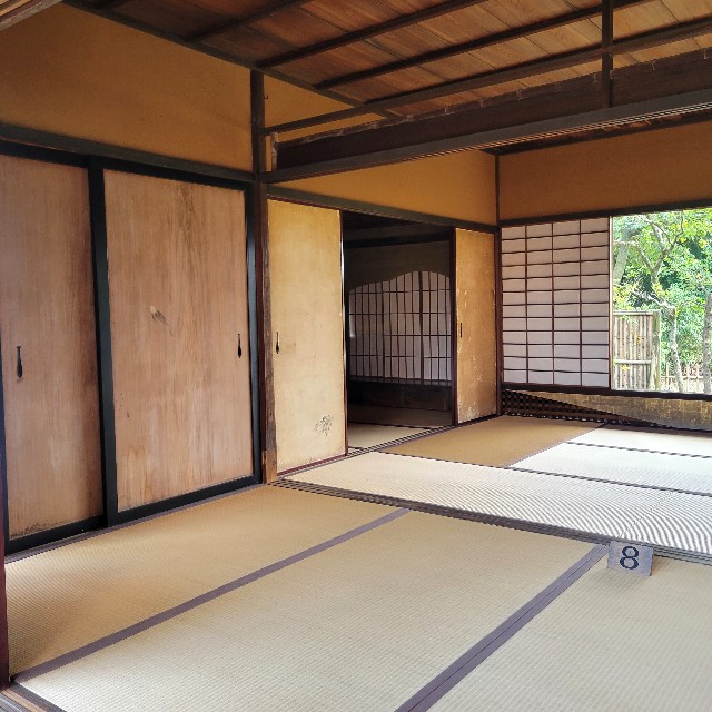 f:id:atoriatoriatori:20231211105910j:image f:id:atoriatoriatori:20231211105910j:image