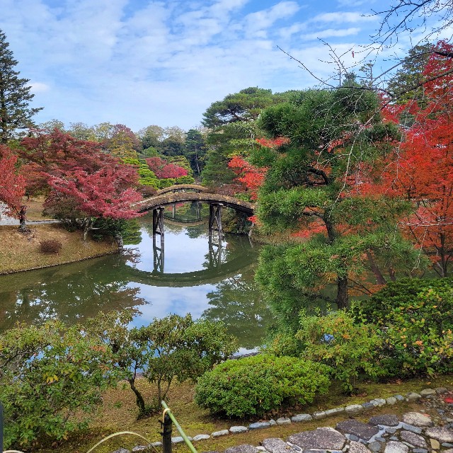 f:id:atoriatoriatori:20231211105933j:image f:id:atoriatoriatori:20231211105933j:image