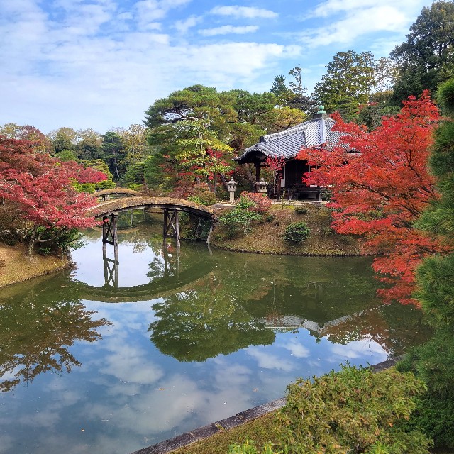 f:id:atoriatoriatori:20231211110938j:image f:id:atoriatoriatori:20231211110938j:image