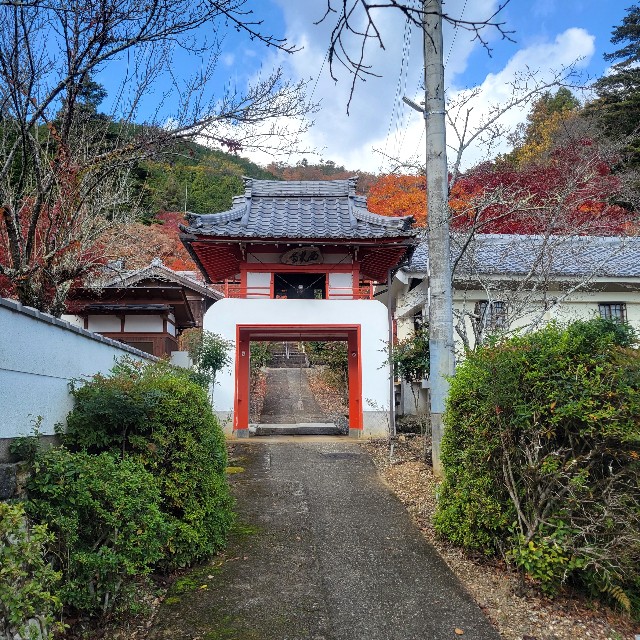 f:id:atoriatoriatori:20231213170321j:image