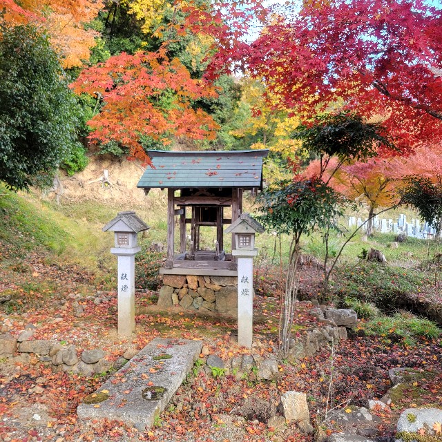 f:id:atoriatoriatori:20231213173658j:image