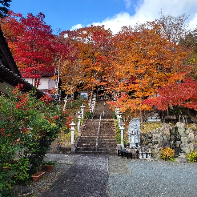 f:id:atoriatoriatori:20231213173706j:image