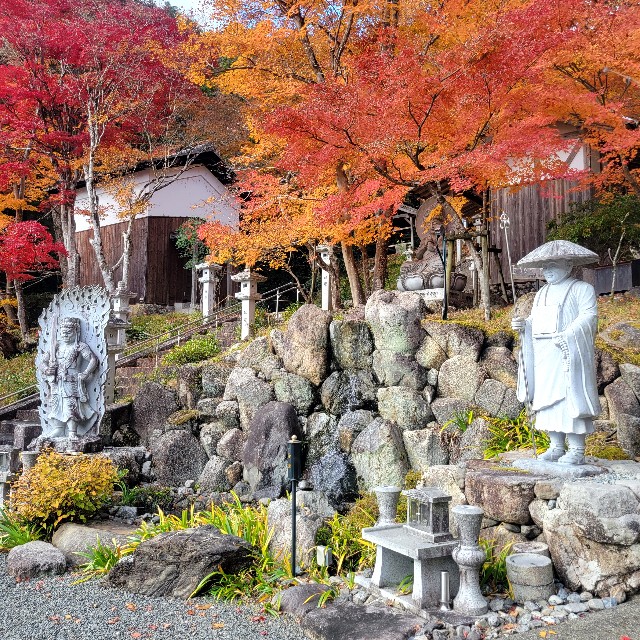 f:id:atoriatoriatori:20231213175944j:image