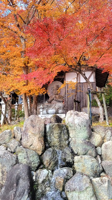 f:id:atoriatoriatori:20231213201049j:image