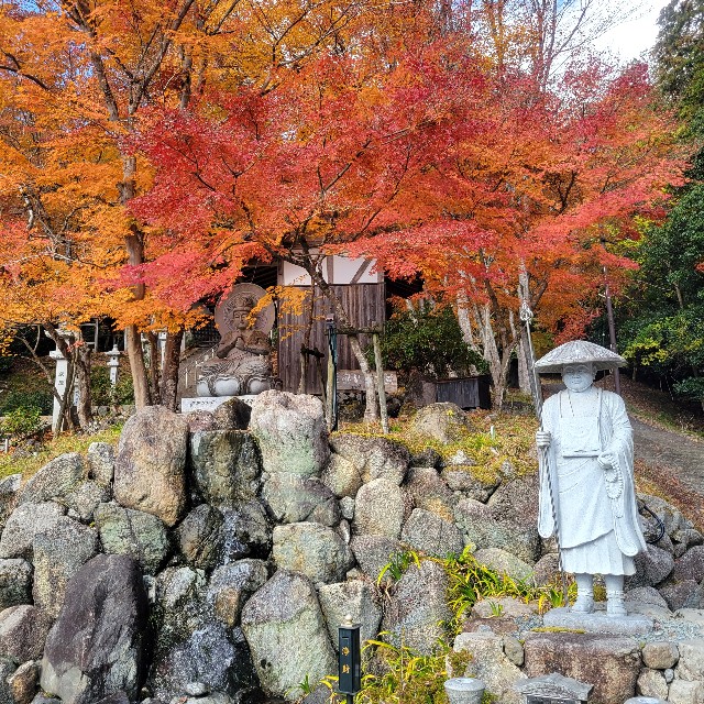 f:id:atoriatoriatori:20231213201057j:image