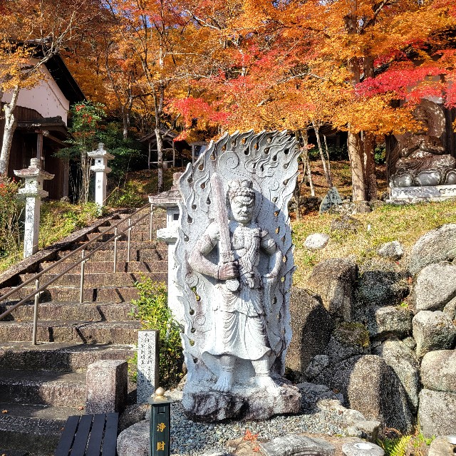 f:id:atoriatoriatori:20231213201628j:image