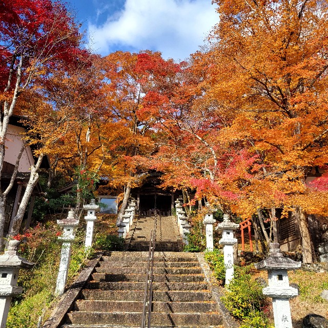 f:id:atoriatoriatori:20231213201635j:image