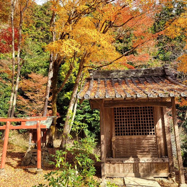 f:id:atoriatoriatori:20231213202211j:image