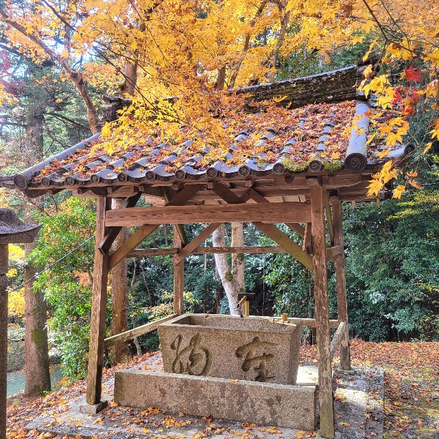 f:id:atoriatoriatori:20231213202225j:image