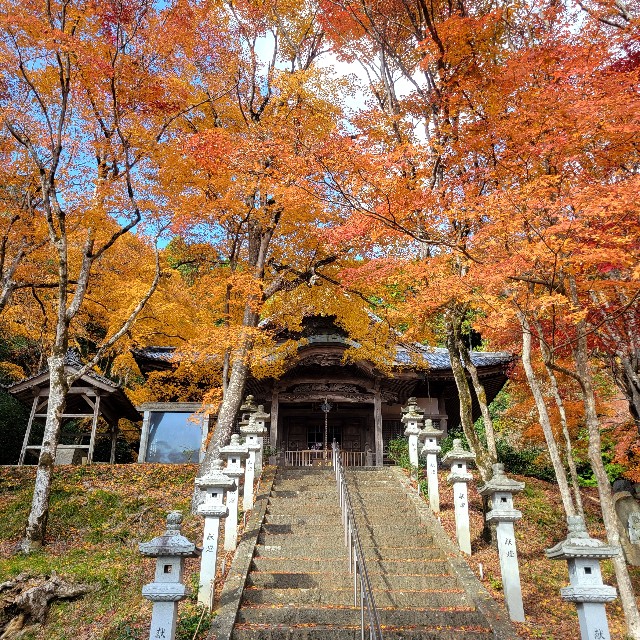 f:id:atoriatoriatori:20231214092436j:image