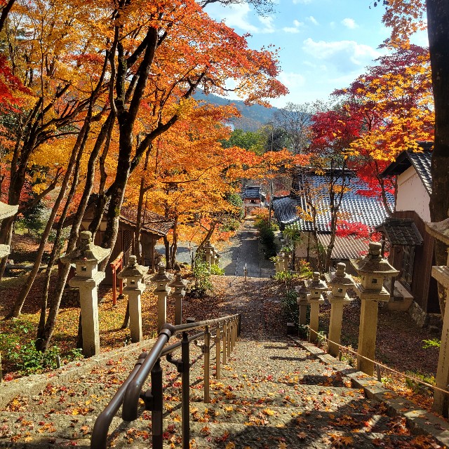 f:id:atoriatoriatori:20231214092548j:image