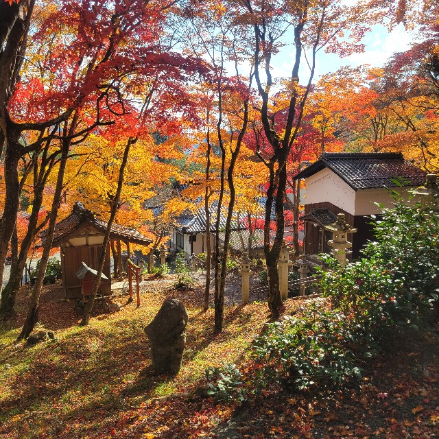 f:id:atoriatoriatori:20231214092954j:image