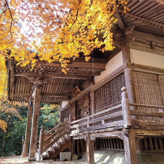 f:id:atoriatoriatori:20231214093019j:image