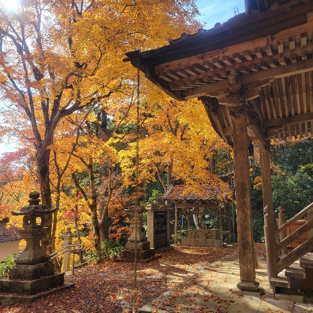 f:id:atoriatoriatori:20231214093042j:image