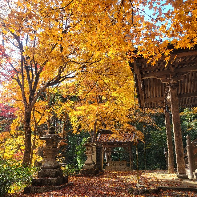 f:id:atoriatoriatori:20231214093050j:image