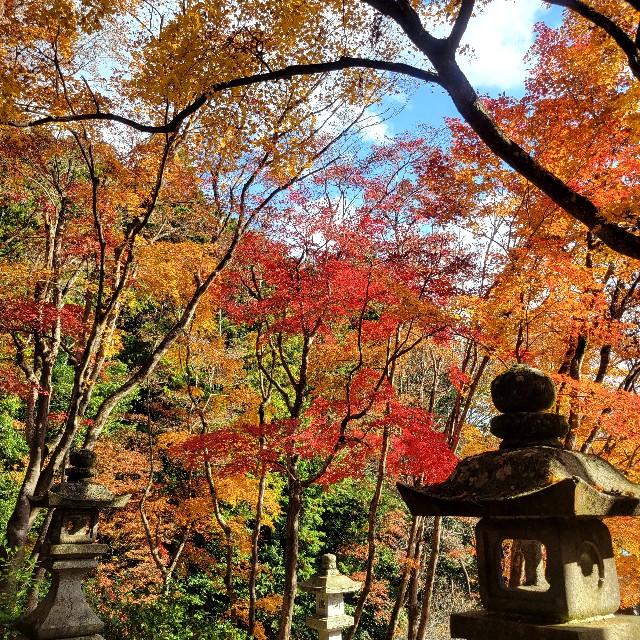 f:id:atoriatoriatori:20231214093349j:image