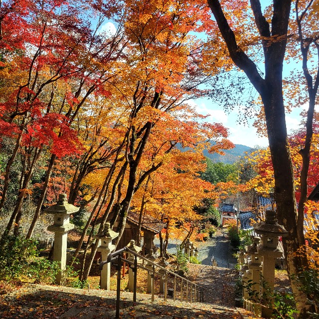 f:id:atoriatoriatori:20231214093519j:image