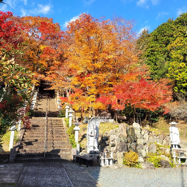 f:id:atoriatoriatori:20231214105607j:image