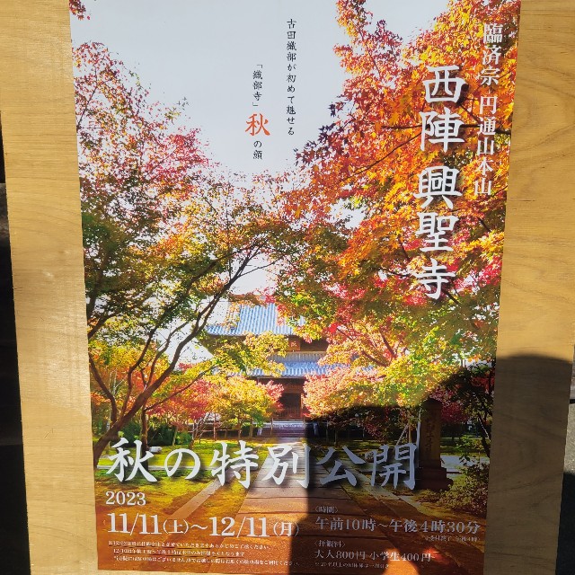 f:id:atoriatoriatori:20231222205453j:image