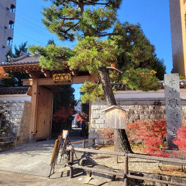 f:id:atoriatoriatori:20231222210231j:image