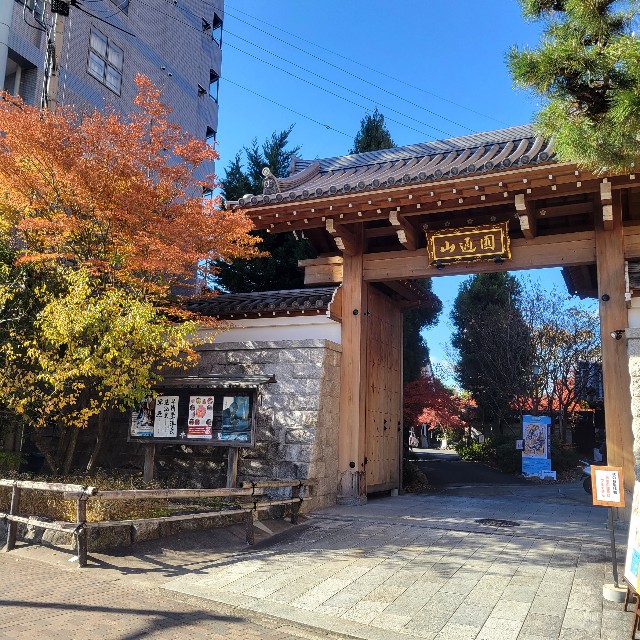 f:id:atoriatoriatori:20231222210240j:image
