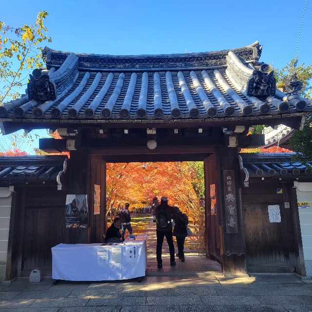 f:id:atoriatoriatori:20231222210930j:image