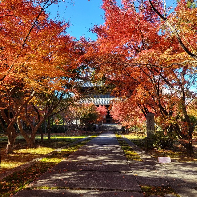 f:id:atoriatoriatori:20231223132414j:image