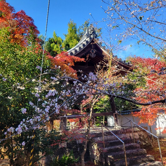 f:id:atoriatoriatori:20231223163417j:image