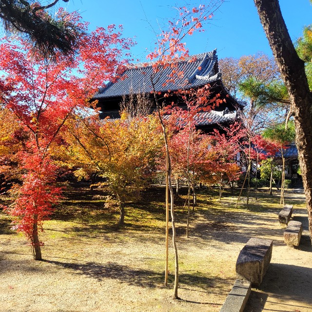 f:id:atoriatoriatori:20231223164407j:image