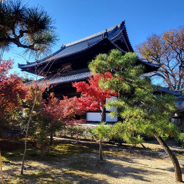 f:id:atoriatoriatori:20231223164423j:image